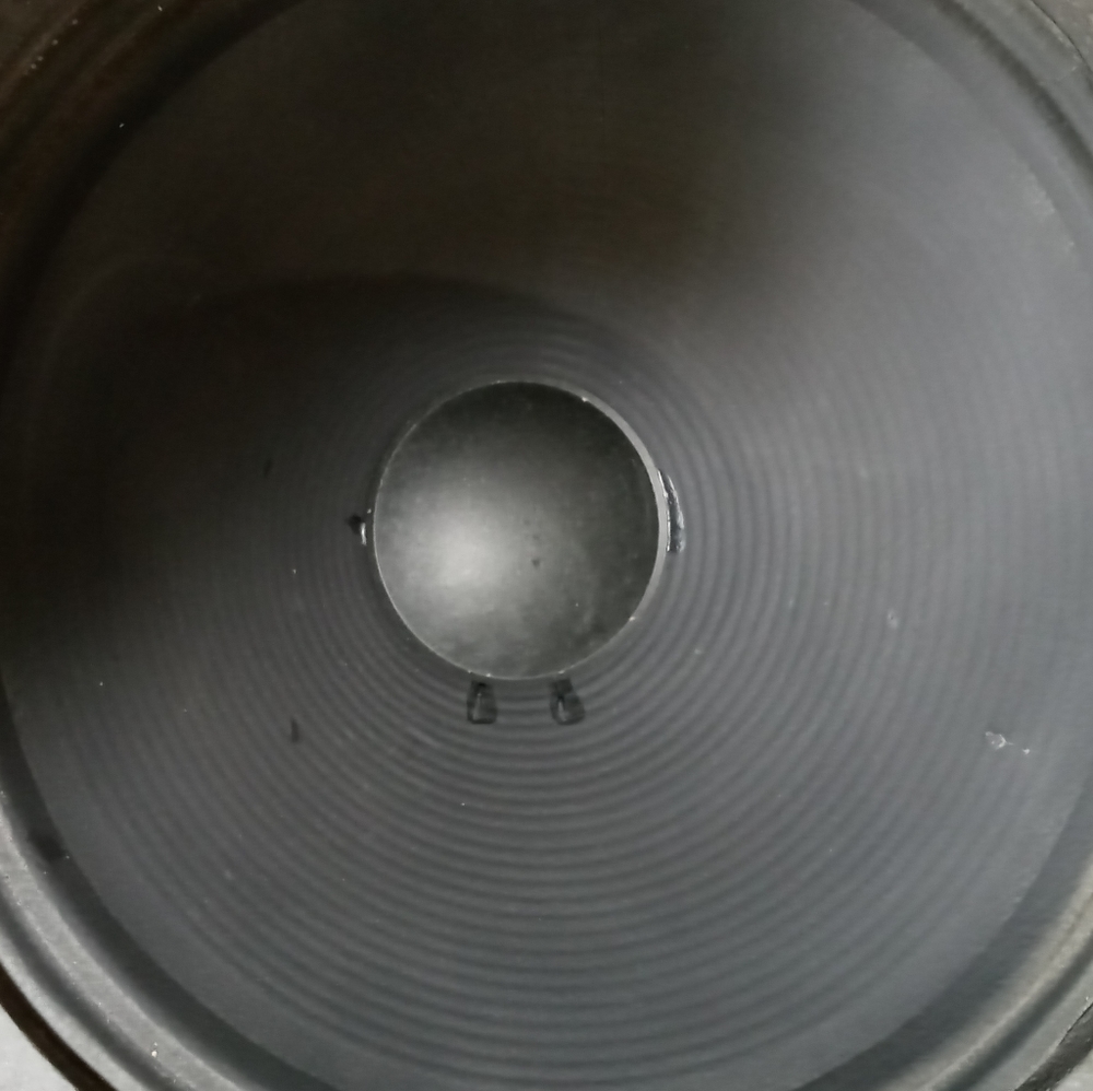 Vintage Peavey 12in PA 12810 guitar amp speakers.